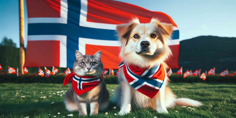 Feir 17. mai med det fineste 17. mai utstyret til din hund og katt