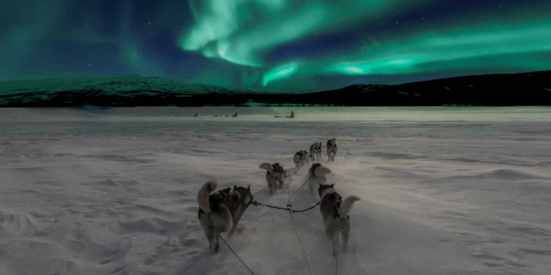 Tips for å holde hunden din varm om vinteren