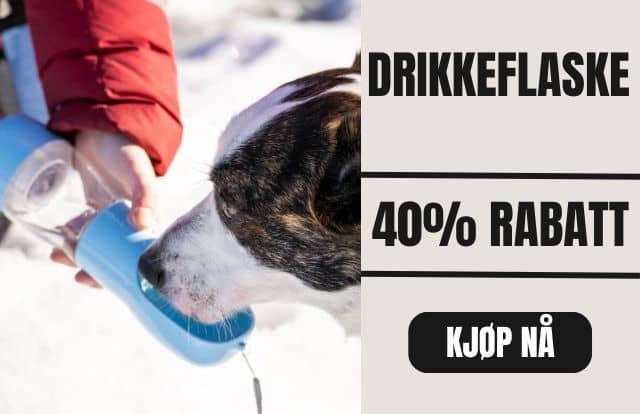 Copy_of_Copy_of_Copy_of_Copy_of_Copy_of_Copy_of_Copy_of_Kattehule_8_-min