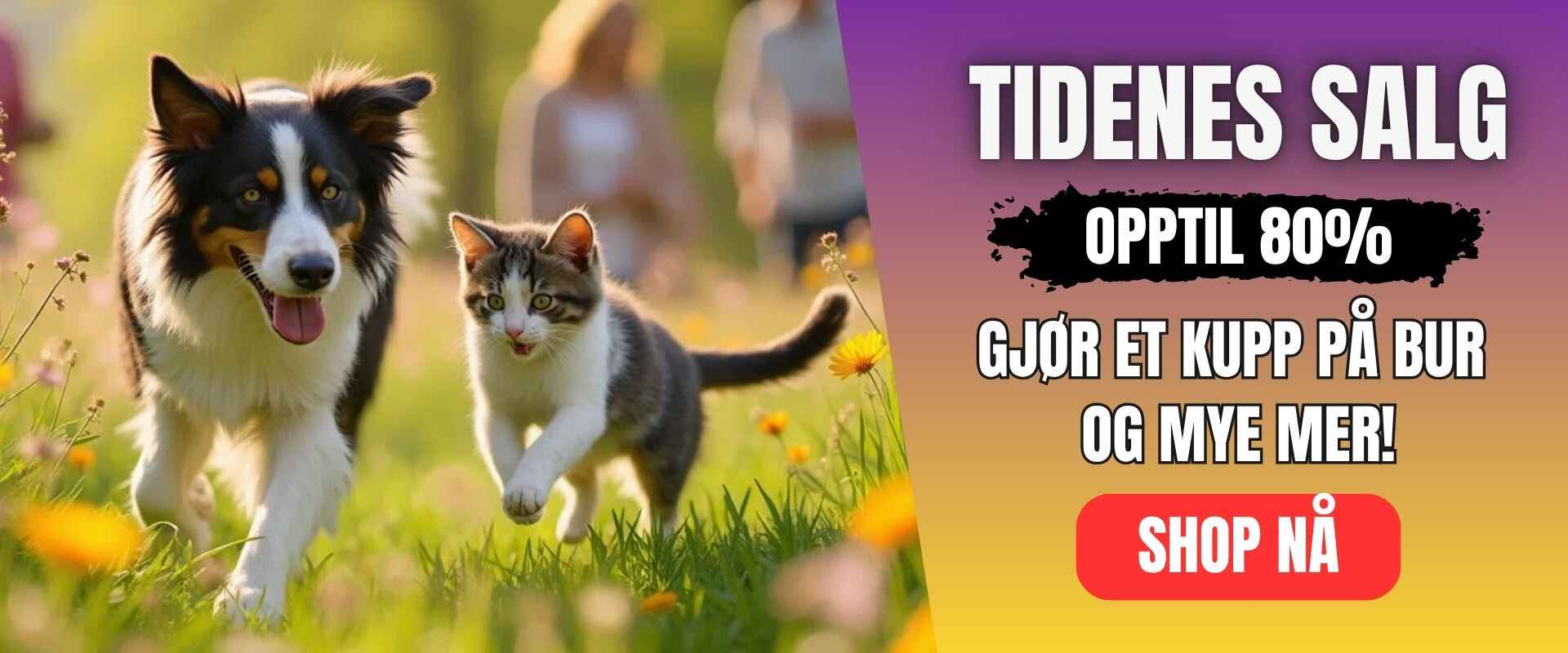 Copy_of_Copy_of_Copy_of_Copy_of_Copy_of_Copy_of_Februarsalg_3_1_