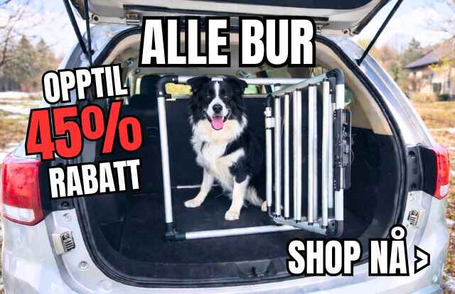 Copy_of_Copy_of_Copy_of_Copy_of_Copy_of_FLYTENDE_VANNLEKE_20_640_x_414_px_3_1_