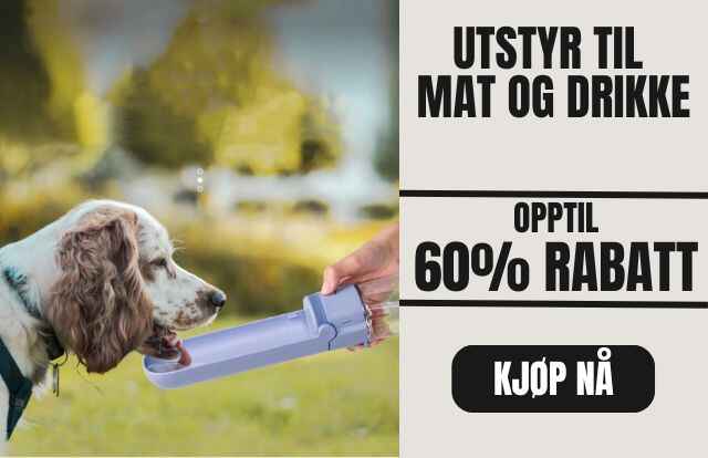 Copy_of_Copy_of_Copy_of_Copy_of_Copy_of_Kattehule_8_1_