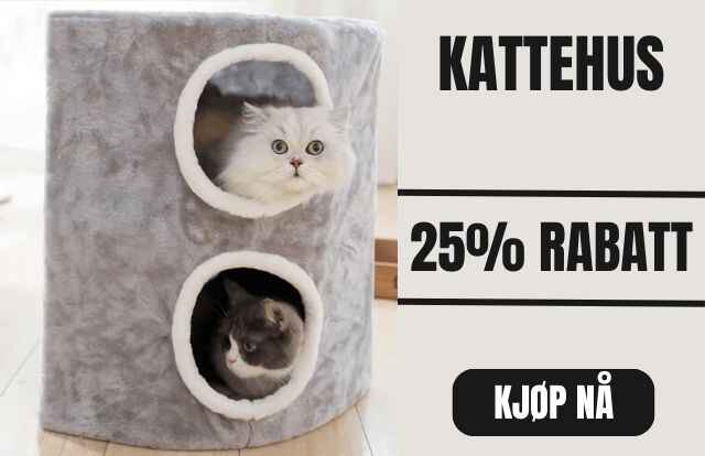 Copy_of_Copy_of_Copy_of_Copy_of_Kattehule_1_
