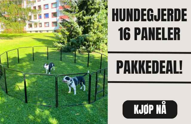 Copy_of_Copy_of_Copy_of_Copy_of_Kattehule_5_1_