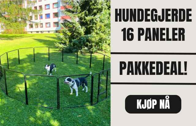 Copy_of_Copy_of_Copy_of_Copy_of_Kattehule_7_1_
