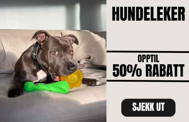 Copy_of_Copy_of_Copy_of_Hundedekken_50_7_1_