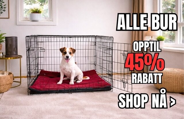 Copy_of_Copy_of_Copy_of_kl_r60._4_1_