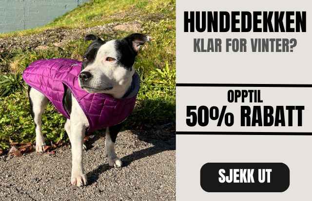 Copy_of_Copy_of_Hundedekken_50_5_1_