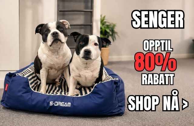 Copy_of_Copy_of_kl_r60._6_1_