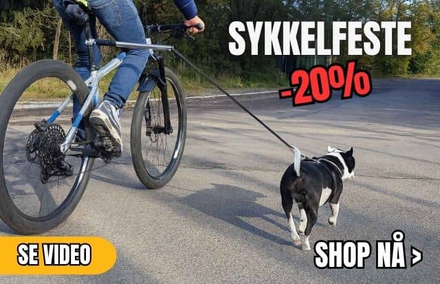 Copy_of_kl_r60._4_-min