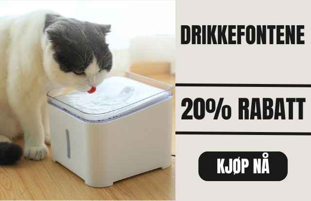 Drikkefontene_1_