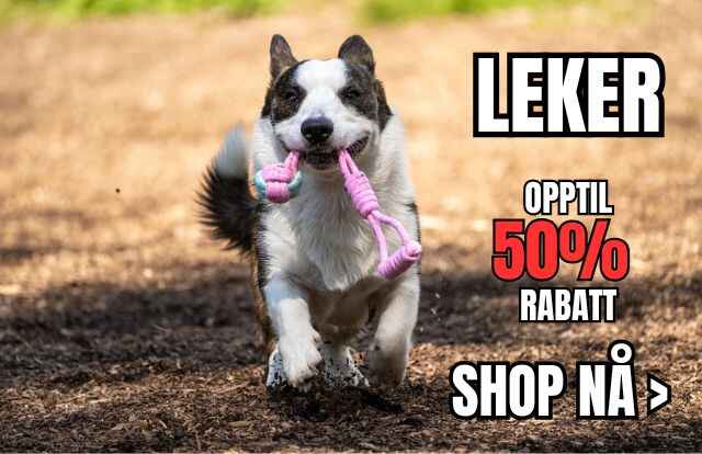 Leker_50_640_x_414_px_1_