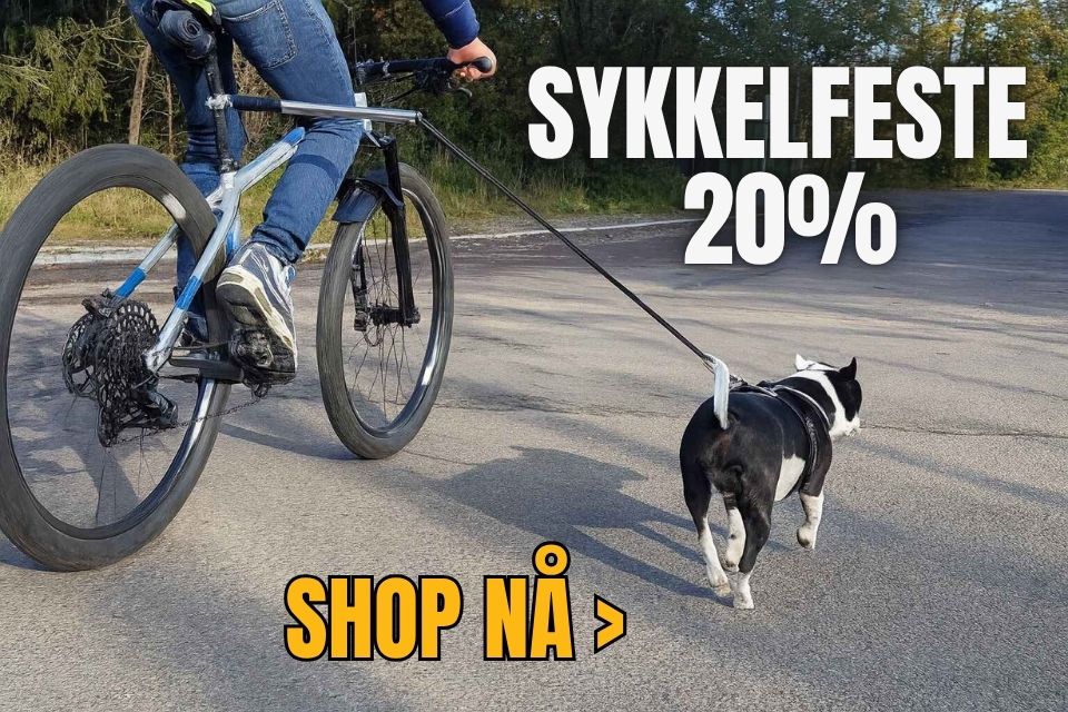 SYKKELFESTE_3_