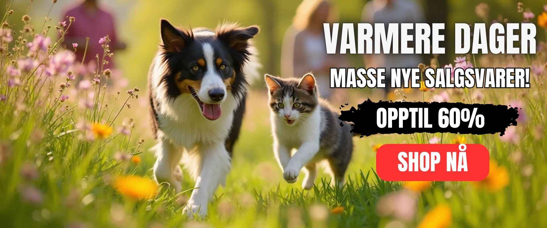 V_rsalg_1_