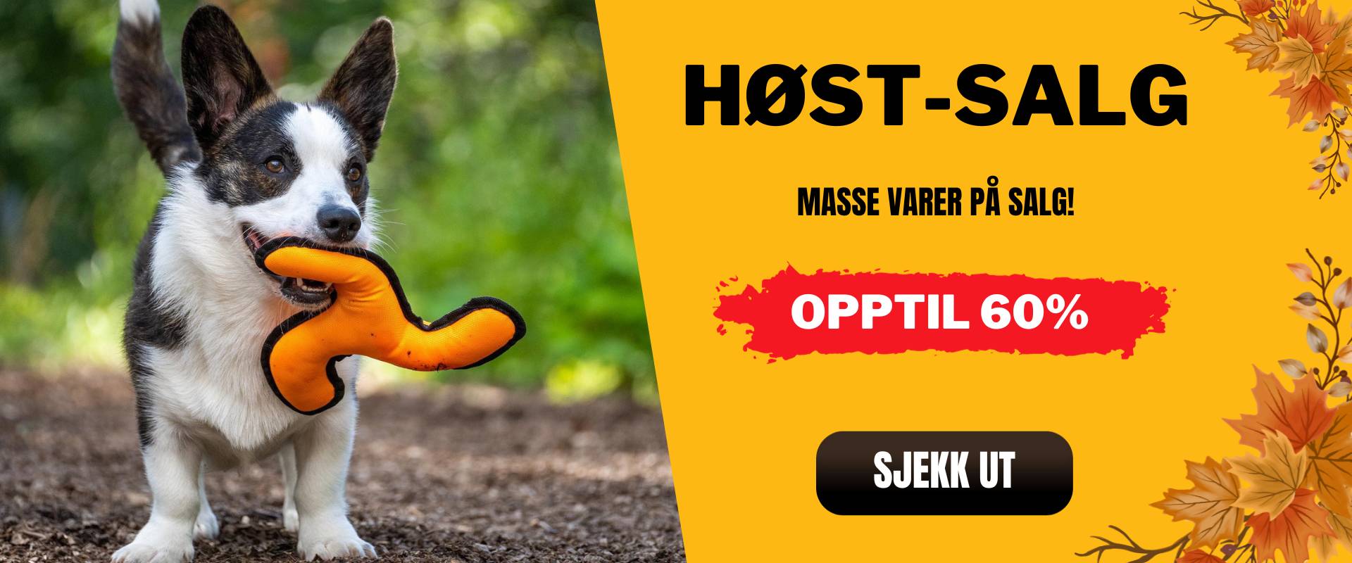 h_stsalg-min