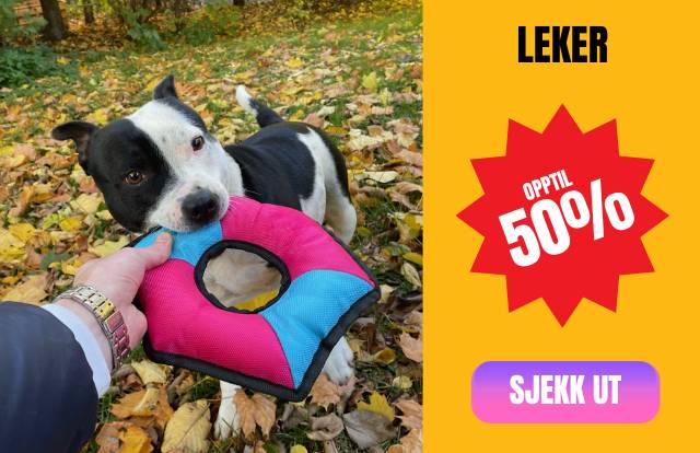 leker_50-min