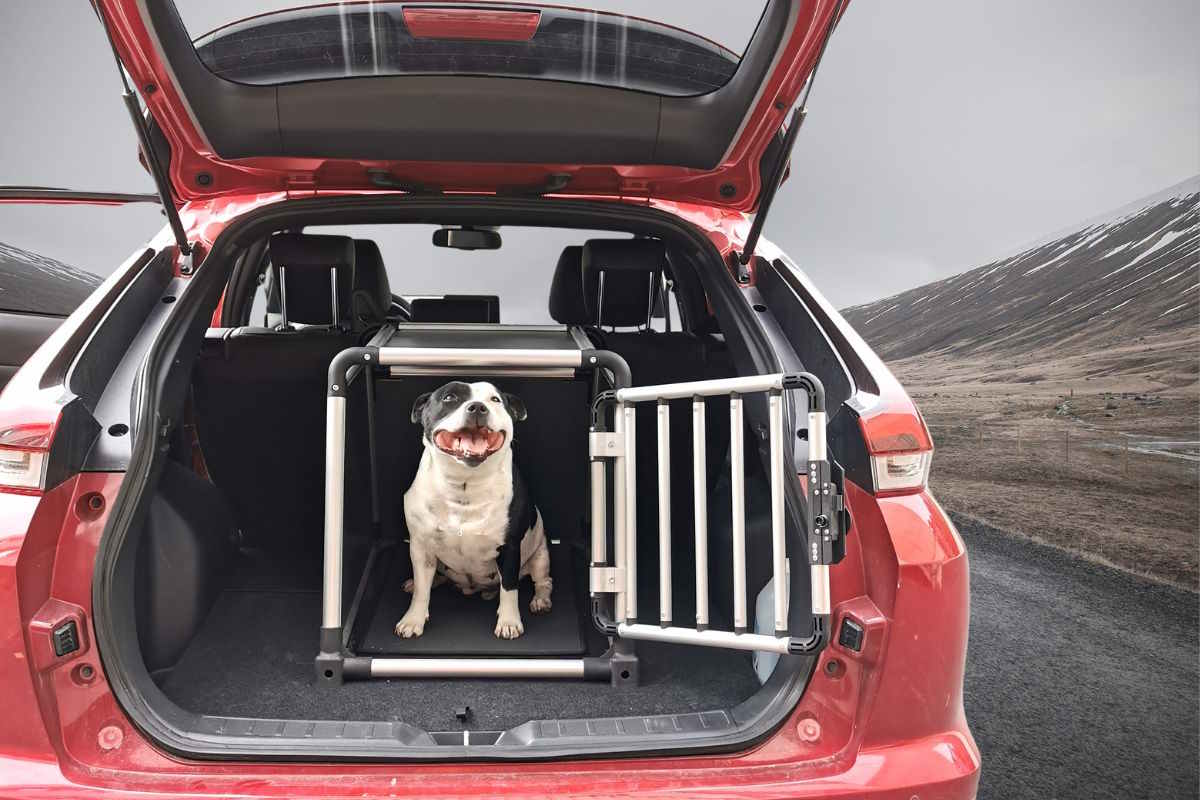 Hundebur til bil, bilbur hund